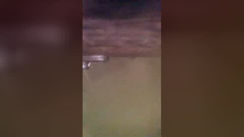 Snapshot of tomcop11111 chatting on March 29, 2026, 9:20 am tomcop11111 online show from March 29, 2026, 9:20 am