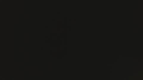 tomylela online show from December 1, 2025, 7:46 am