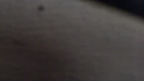 tony2700targa online show from January 13, 2025, 3:47 pm