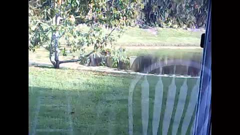 Snapshot of tonymcfly99 chatting on February 21, 2025, 9:43 pm tonymcfly99 online show from February 21, 2025, 9:43 pm