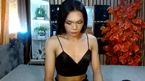 toptrans venice online show from February 20, 2026, 6:26 am