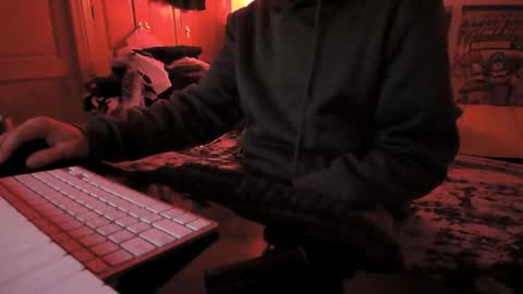 Torosko online show from November 29, 2025, 11:52 pm