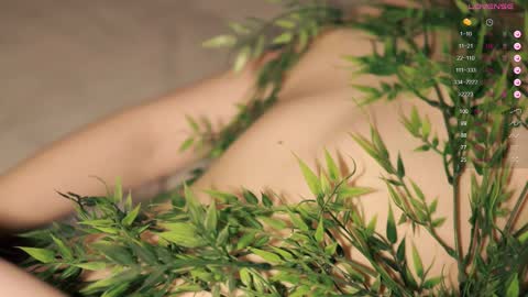 Toshi online show from February 9, 2025, 1:03 pm