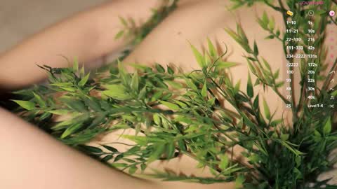 Toshi online show from December 14, 2025, 1:05 pm