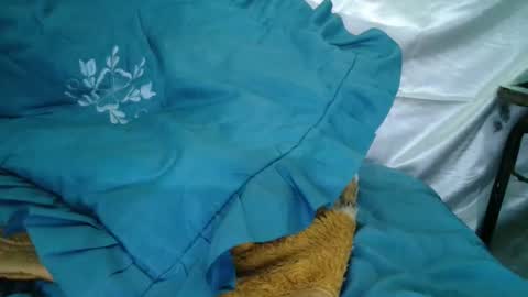 Snapshot of transexdotada chatting on October 23, 2025, 5:12 pm transexdotada online show from October 23, 2025, 5:12 pm