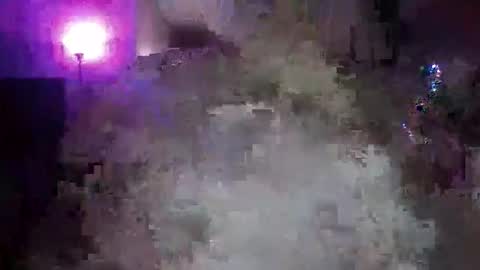 Snapshot of transgirl005 chatting on November 10, 2025, 10:03 am transgirl005 online show from November 10, 2025, 10:03 am