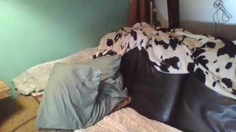 trashdiamond online show from April 3, 2026, 8:12 am