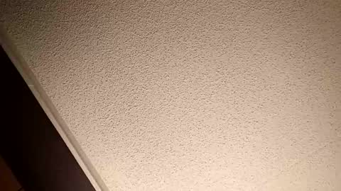 treedude303720 online show from October 20, 2025, 10:54 pm