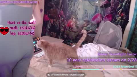 Cassie online show from February 26, 2026, 7:46 pm