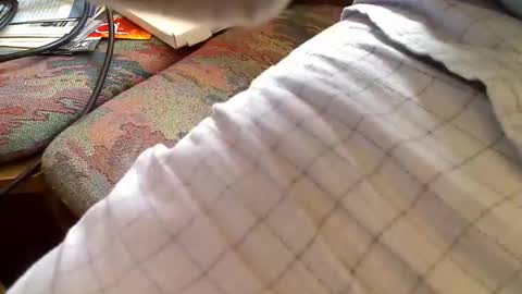 trobelle online show from April 26, 2026, 8:56 am