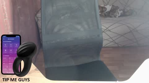 Snapshot of trone41 chatting on December 18, 2024, 2:53 am I POST MY FUCKING VIDEOS AND PICS    online show from December 18, 2024, 2:53 am