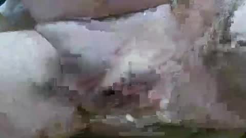 Snapshot of troy1965 chatting on February 11, 2026, 6:07 am troy1965 online show from February 11, 2026, 6:07 am