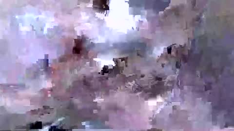 Snapshot of troy1965 chatting on April 12, 2026, 5:45 am troy1965 online show from April 12, 2026, 5:45 am