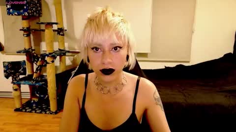 Snapshot of tryp666 chatting on October 13, 2025, 4:12 am Cait online show from October 13, 2025, 4:12 am