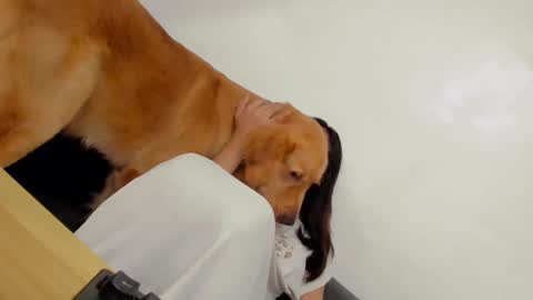 Snapshot of ts_danielahugecock_xxx chatting on December 31, 2024, 12:43 am ts_danielahugecock_xxx online show from December 31, 2024, 12:43 am