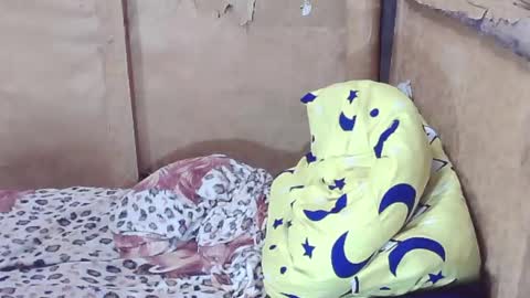 Snapshot of tswinterlily69 chatting on December 29, 2024, 2:38 am carmella online show from December 29, 2024, 2:38 am