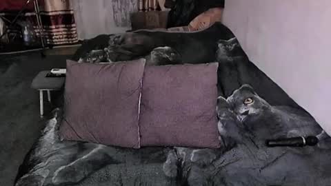 Snapshot of tviks chatting on January 17, 2026, 9:18 pm Lana online show from January 17, 2026, 9:18 pm