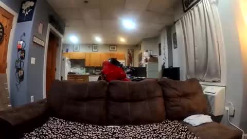 twicethetease2 online show from February 8, 2026, 7:34 am