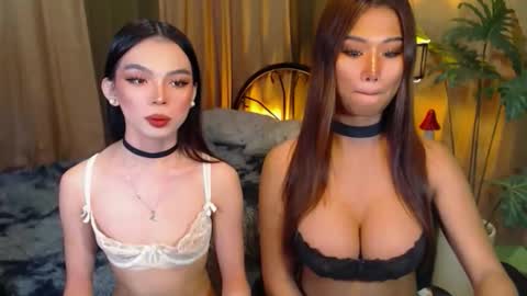 Snapshot of twinktransshanel chatting on October 8, 2025, 5:05 am twinktransshanel online show from October 8, 2025, 5:05 am