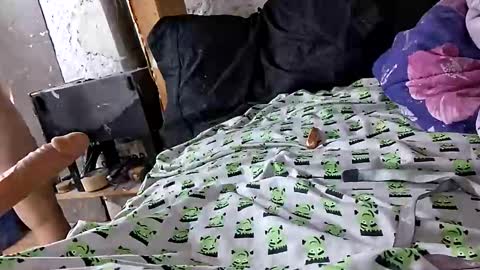 twistedlilpunk online show from December 21, 2025, 11:17 am