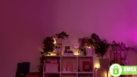 Stranger online show from December 28, 2024, 8:04 pm