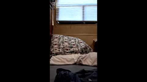 Snapshot of twp123 chatting on March 10, 2026, 9:31 pm Matt online show from March 10, 2026, 9:31 pm