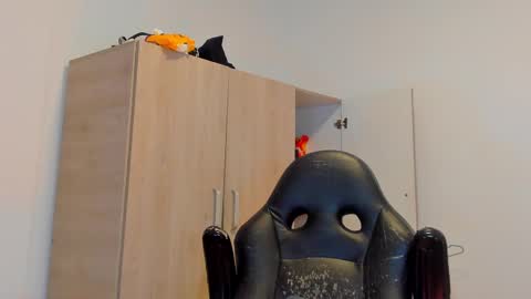 Snapshot of tyler_lautners chatting on March 2, 2025, 10:59 pm online show from March 2, 2025, 10:59 pm