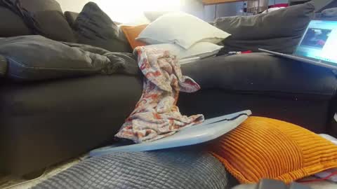 Snapshot of tysonjameson chatting on December 20, 2024, 2:27 pm tysonjameson online show from December 20, 2024, 2:27 pm