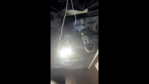 Astic BW online show from March 3, 2026, 10:21 am