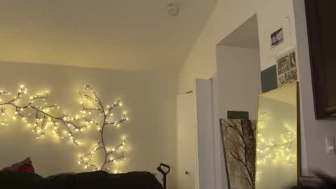 wang online show from November 21, 2025, 11:47 pm