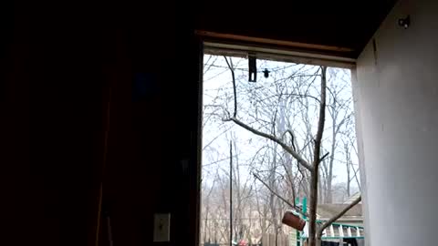 Snapshot of upforanything27 chatting on December 25, 2024, 6:41 pm upforanything27 online show from December 25, 2024, 6:41 pm