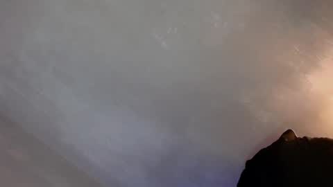 Lola online show from January 22, 2025, 1:42 pm