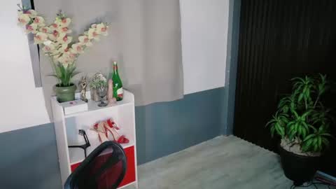 Snapshot of urfave_bbgirl chatting on December 23, 2025, 9:29 am urfave_bbgirl online show from December 23, 2025, 9:29 am