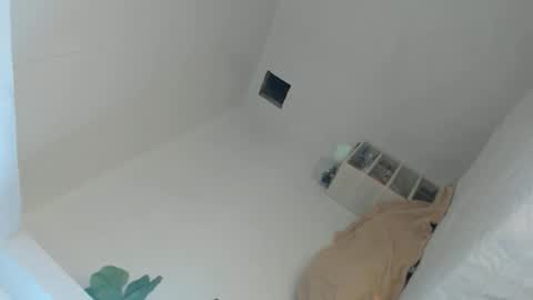 KIM online show from April 19, 2026, 4:45 am