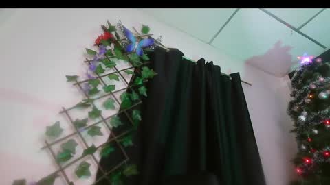 Valery online show from December 16, 2024, 8:41 am