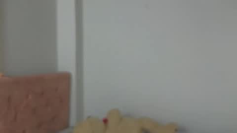 Snapshot of valery_lovex_ chatting on October 10, 2025, 2:10 am valery_lovex_ online show from October 10, 2025, 2:10 am