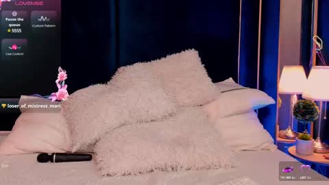 Snapshot of vanessaangelx chatting on March 11, 2025, 10:18 am Vanessa Diamond online show from March 11, 2025, 10:18 am