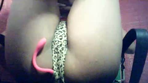 Snapshot of vannisa_xx chatting on February 18, 2026, 10:33 am vannisa xx online show from February 18, 2026, 10:33 am