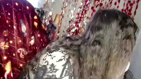 Var Kiss online show from April 4, 2026, 4:33 am