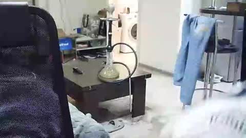 Snapshot of velikiibelyi17 chatting on December 13, 2025, 8:36 pm Deniel online show from December 13, 2025, 8:36 pm