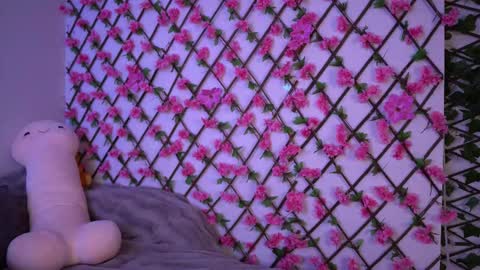 Polly online show from November 7, 2025, 6:19 pm