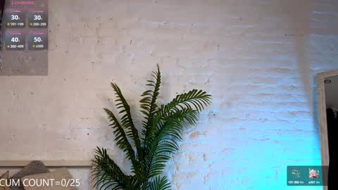 CLEOshort hair  TIna long hair  online show from February 4, 2025, 5:45 pm