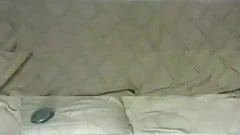 Snapshot of ventura50 chatting on March 6, 2025, 8:30 am ventura50 online show from March 6, 2025, 8:30 am