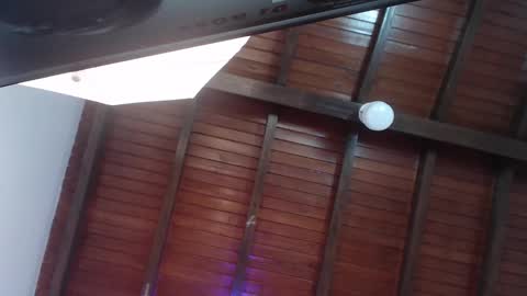 Venus Evans online show from February 23, 2025, 12:19 am