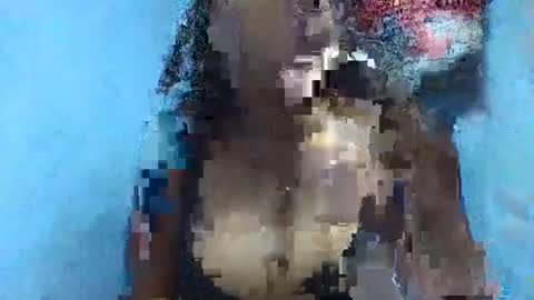 Snapshot of verolla31 chatting on February 2, 2025, 8:08 pm verolla31 online show from February 2, 2025, 8:08 pm