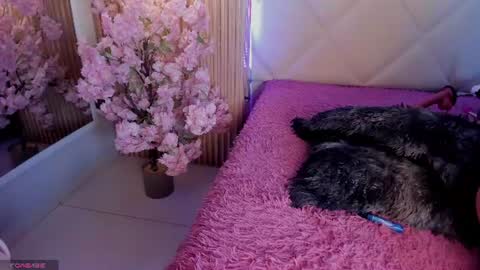veronica_hill_ online show from July 1, 2026, 2:57 am