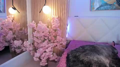 veronica_hill_ online show from July 10, 2026, 3:11 am