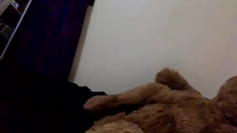 DarkBerryBliss online show from April 13, 2026, 10:04 pm