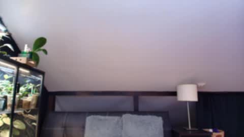 Snapshot of vevelicious chatting on May 2, 2026, 6:24 pm vevelicious online show from May 2, 2026, 6:24 pm