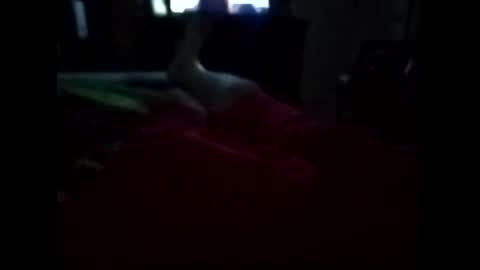 Snapshot of viciouzz1 chatting on November 11, 2025, 11:27 pm viciouzz1 online show from November 11, 2025, 11:27 pm